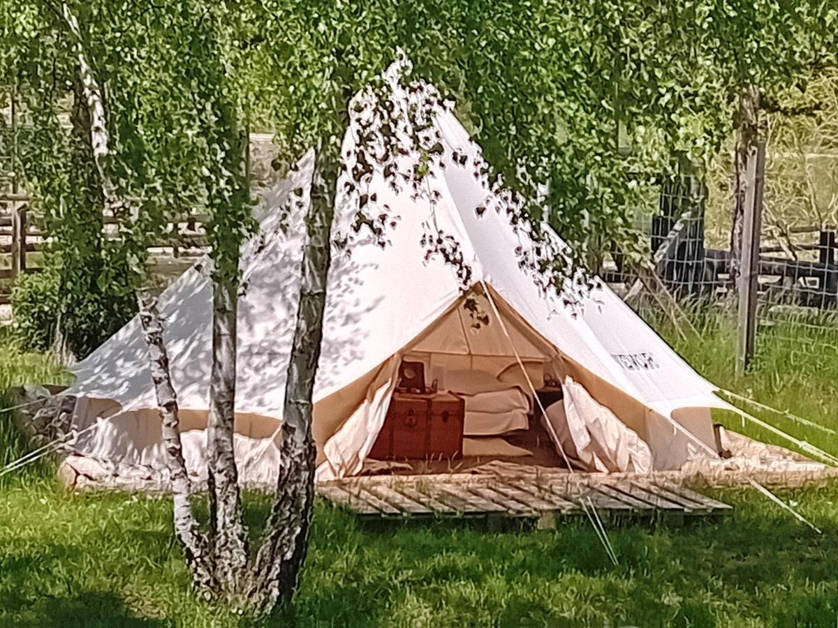 Hôtel Domaine De L'Auspeliere à Greolieres Extérieur photo