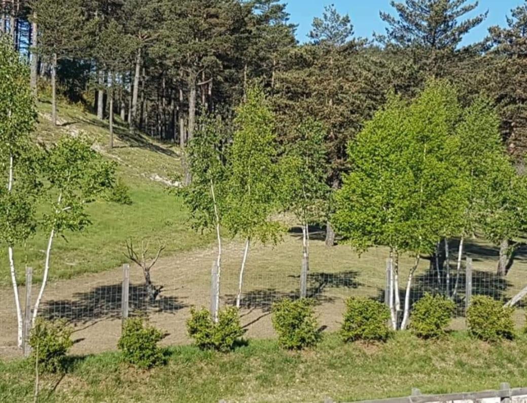 Hôtel Domaine De L'Auspeliere à Greolieres Extérieur photo